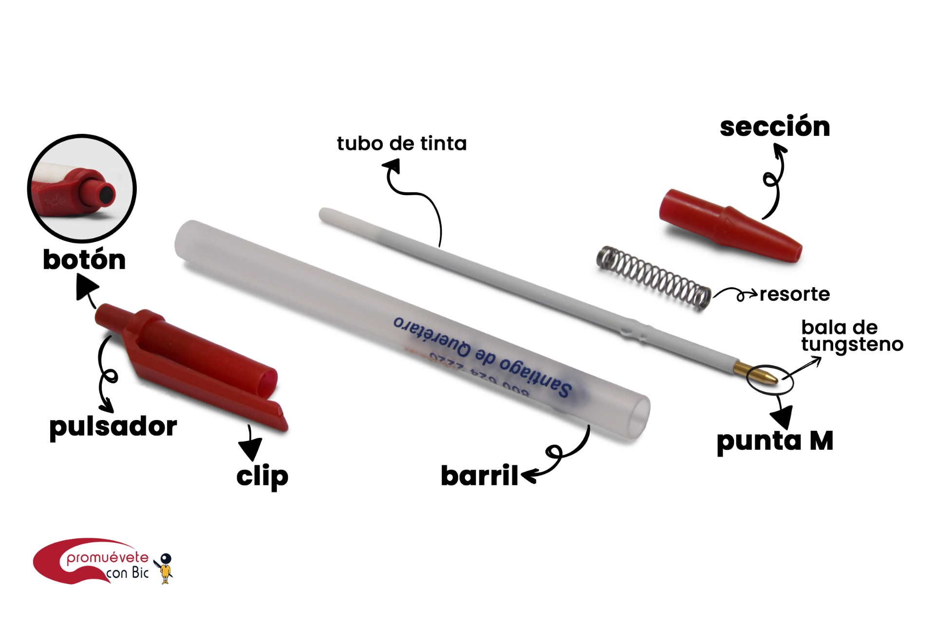 Partes que conforman la BIC® Clic Stic®